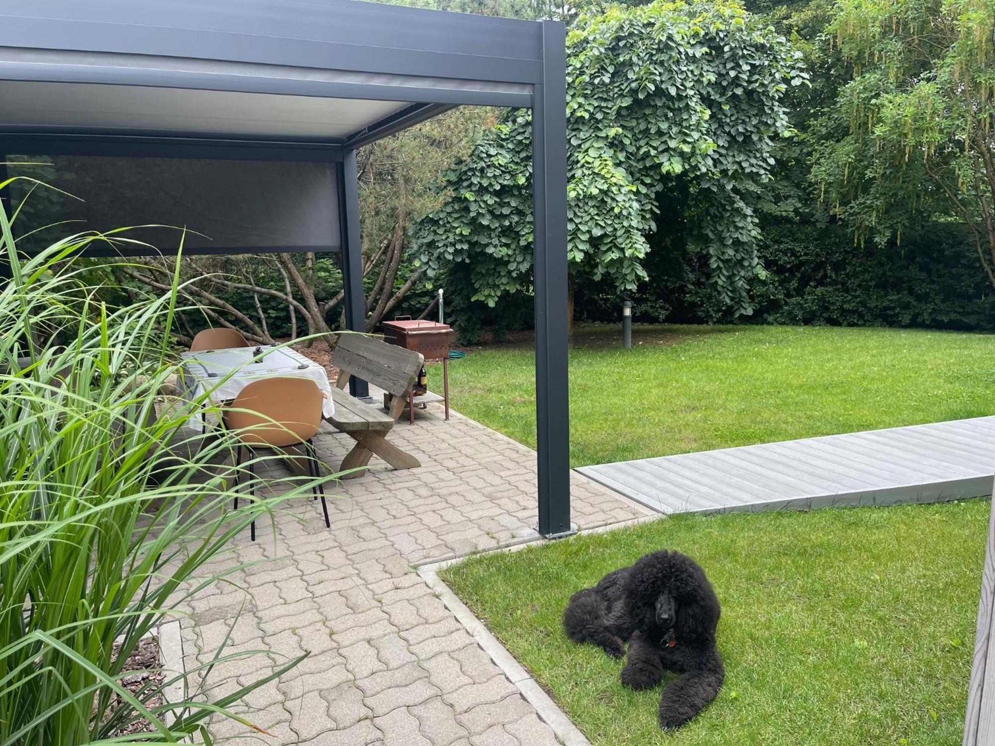 Apartament Pine House Zujunai Zewnętrze zdjęcie